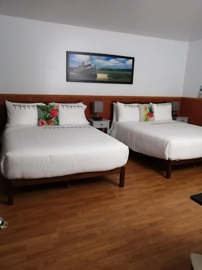Hotel Fleurs Karaibes Saint-Alexandre-de-Kamouraska Exteriör bild